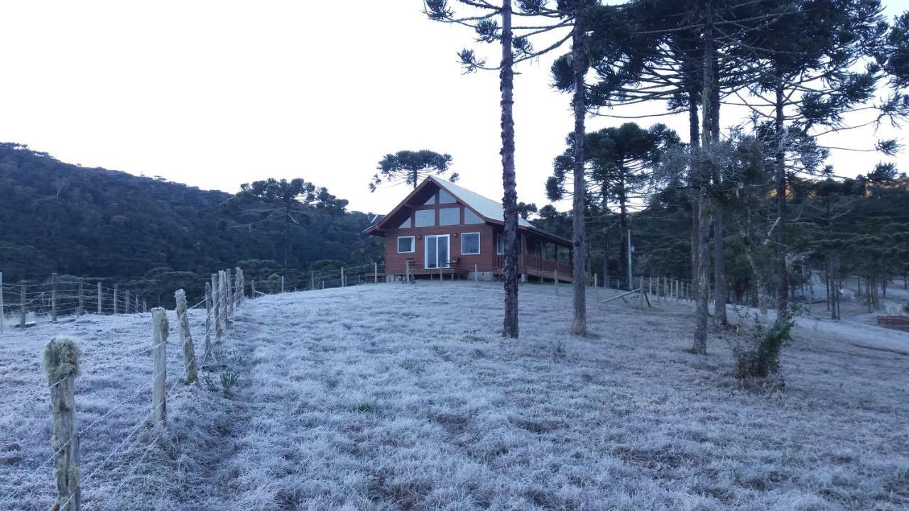 Chalet Chale Bienz - Rural *