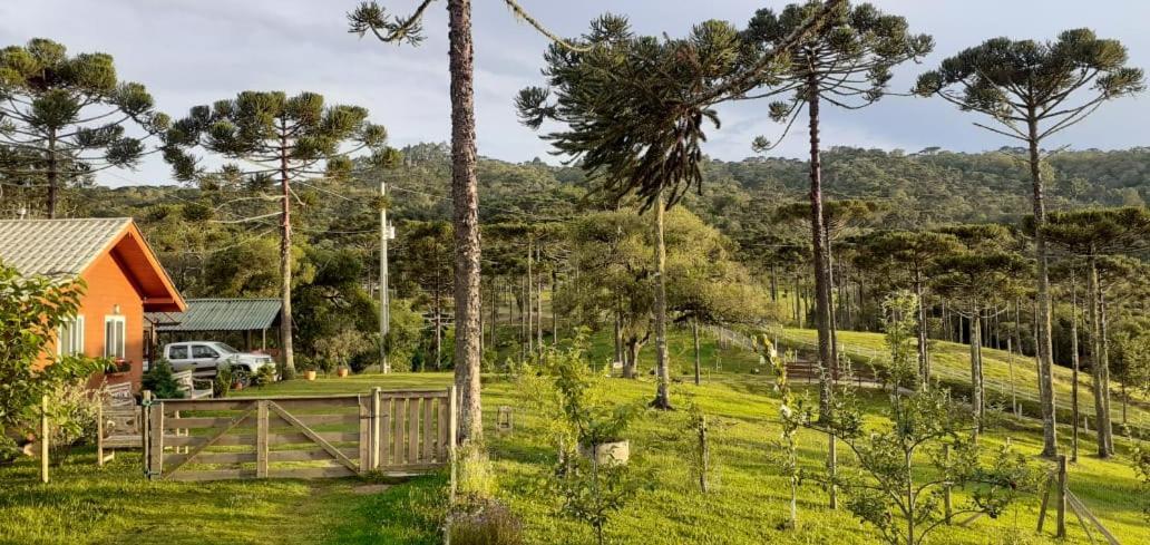 Chale Bienz - Rural Chalet *